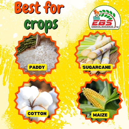 EBS FERTAP-GOLD Chlorantraniliprole 0.4% GR insecticide