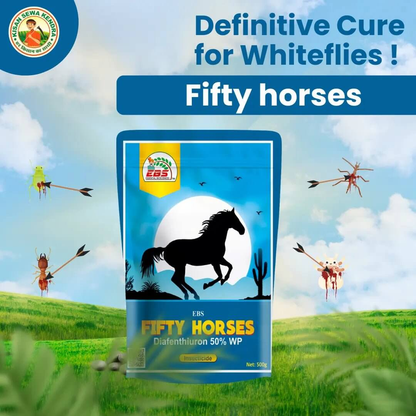 EBS ఫిఫ్టీ హార్సెస్ డయాఫెంథియురాన్ 50% WP – త్రిప్స్, మైట్స్ &amp; వైట్‌ఫ్లైస్ కోసం బలమైన పురుగుమందు