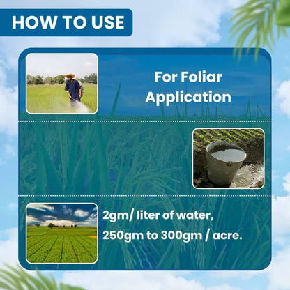 EBS ఫిఫ్టీ హార్సెస్ డయాఫెంథియురాన్ 50% WP – త్రిప్స్, మైట్స్ &amp; వైట్‌ఫ్లైస్ కోసం బలమైన పురుగుమందు