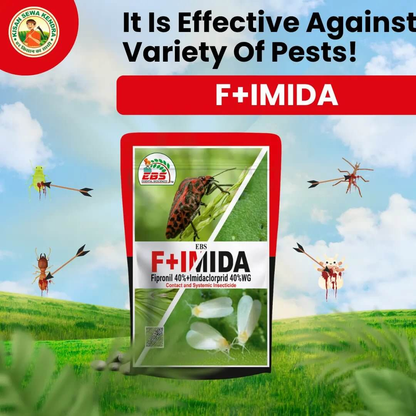 **EBS ಎಫ್+ಐಮಿಡಾ – Fipronil 40% + Imidacloprid 40% WG ಕೀಟನಾಶಕ**
