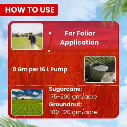 **EBS ಎಫ್+ಐಮಿಡಾ – Fipronil 40% + Imidacloprid 40% WG ಕೀಟನಾಶಕ**
