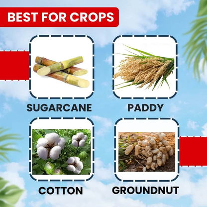 **EBS ಎಫ್+ಐಮಿಡಾ – Fipronil 40% + Imidacloprid 40% WG ಕೀಟನಾಶಕ**
