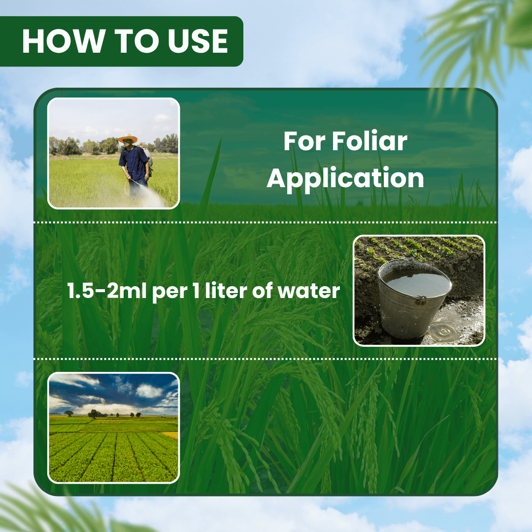 EBS G-Pro Propargite 57 EC mite insecticide for crop protection