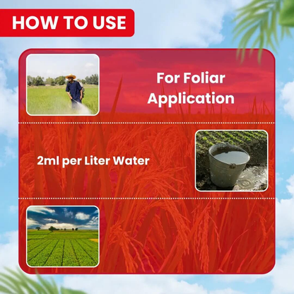 EBS German 505 Chlorpyriphos 50 + Cypermethrin 5% EC