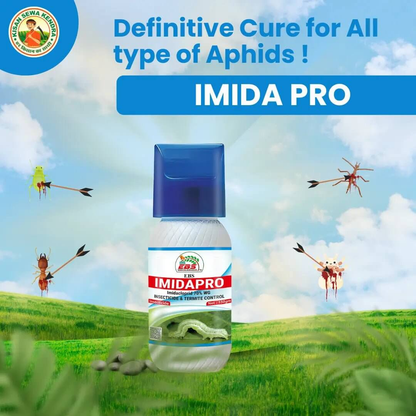 **EBS Imidapro Imidacloprid 70% WG – ಹೀರುವ ಕೀಟಗಳ ನಿಯಂತ್ರಣಕ್ಕೆ ಶಕ್ತಿಶಾಲಿ ಸಿಸ್ಟೆಮಿಕ್ ಕೀಟನಾಶಕ**
