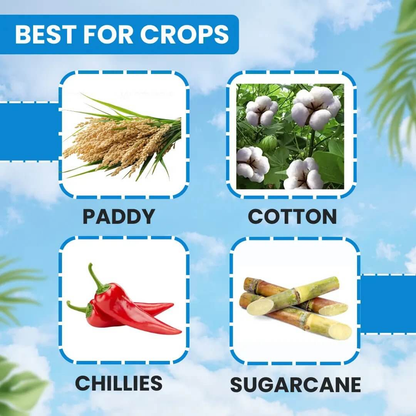 **EBS Imidapro Imidacloprid 70% WG – ಹೀರುವ ಕೀಟಗಳ ನಿಯಂತ್ರಣಕ್ಕೆ ಶಕ್ತಿಶಾಲಿ ಸಿಸ್ಟೆಮಿಕ್ ಕೀಟನಾಶಕ**
