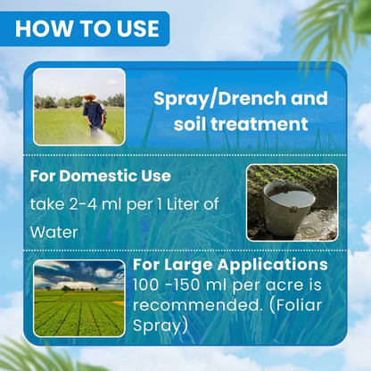 **EBS ಇಮೀಡಿಯೇಟ್ – Imidacloprid 30.5% SC ಸಿಸ್ಟಮಿಕ್ ಕೀಟನಾಶಕ**
