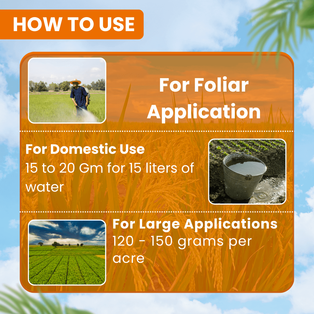 EBS Insectastop Pymetrozine 50% WG paddy insecticide for hopper control