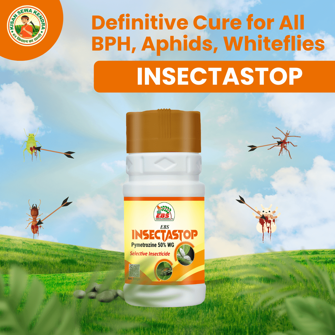 EBS Insectastop Pymetrozine 50% WG paddy insecticide for hopper control