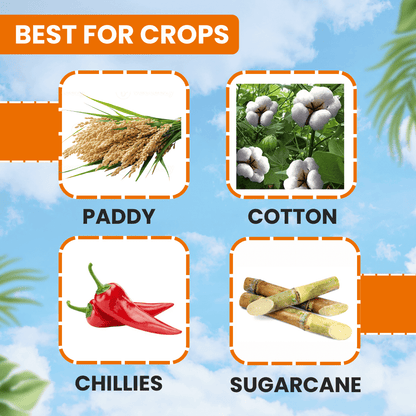 EBS Insectastop Pymetrozine 50% WG paddy insecticide for hopper control