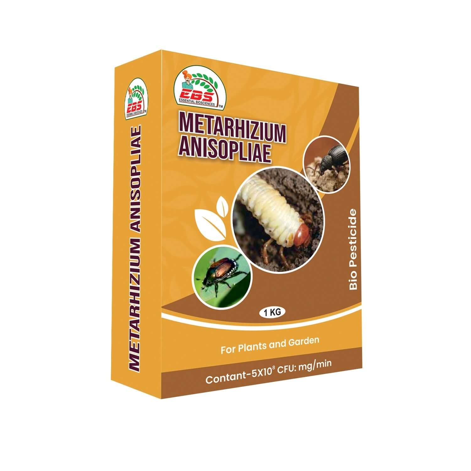 EBS Metarhizium Anisopliae bio pesticide liquid