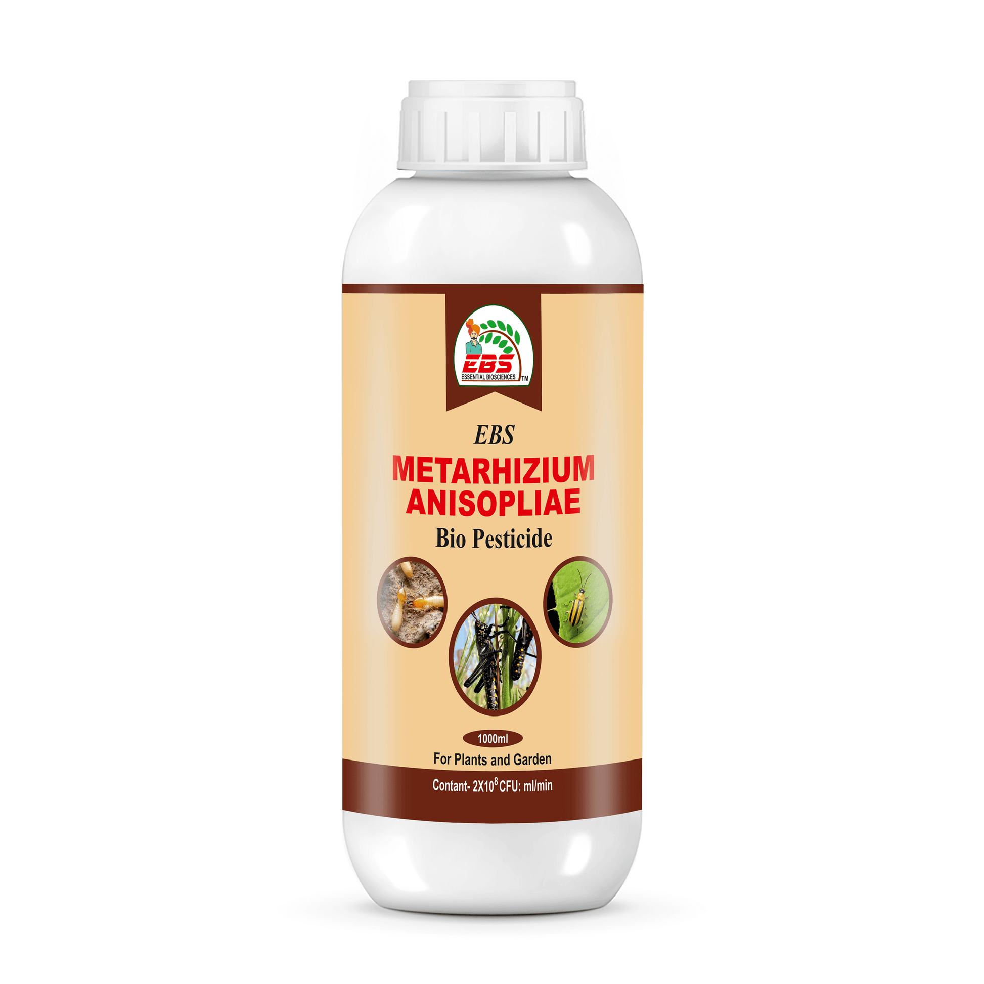 EBS Metarhizium Anisopliae Bio Pesticide for crop protection