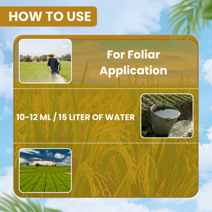 EBS Molothion Malathion 50% EC | Broad-Spectrum Insecticide