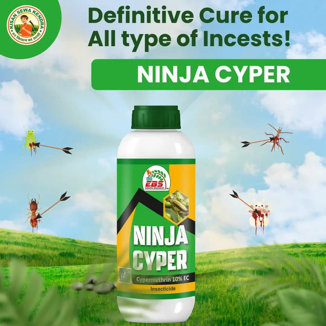 EBS Ninja Cyper cypermethrin 10% EC insecticide