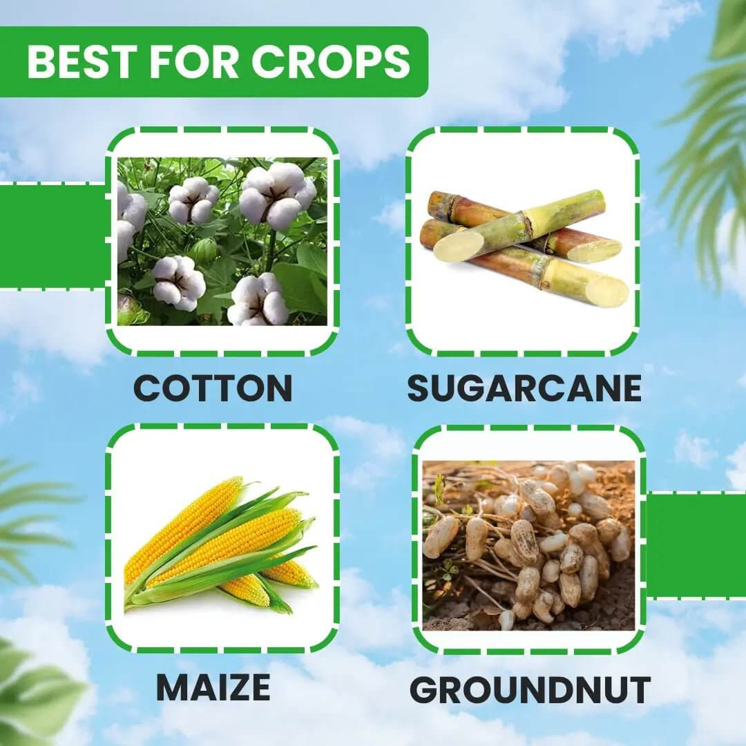 EBS Ninja Cyper cypermethrin 10% EC insecticide