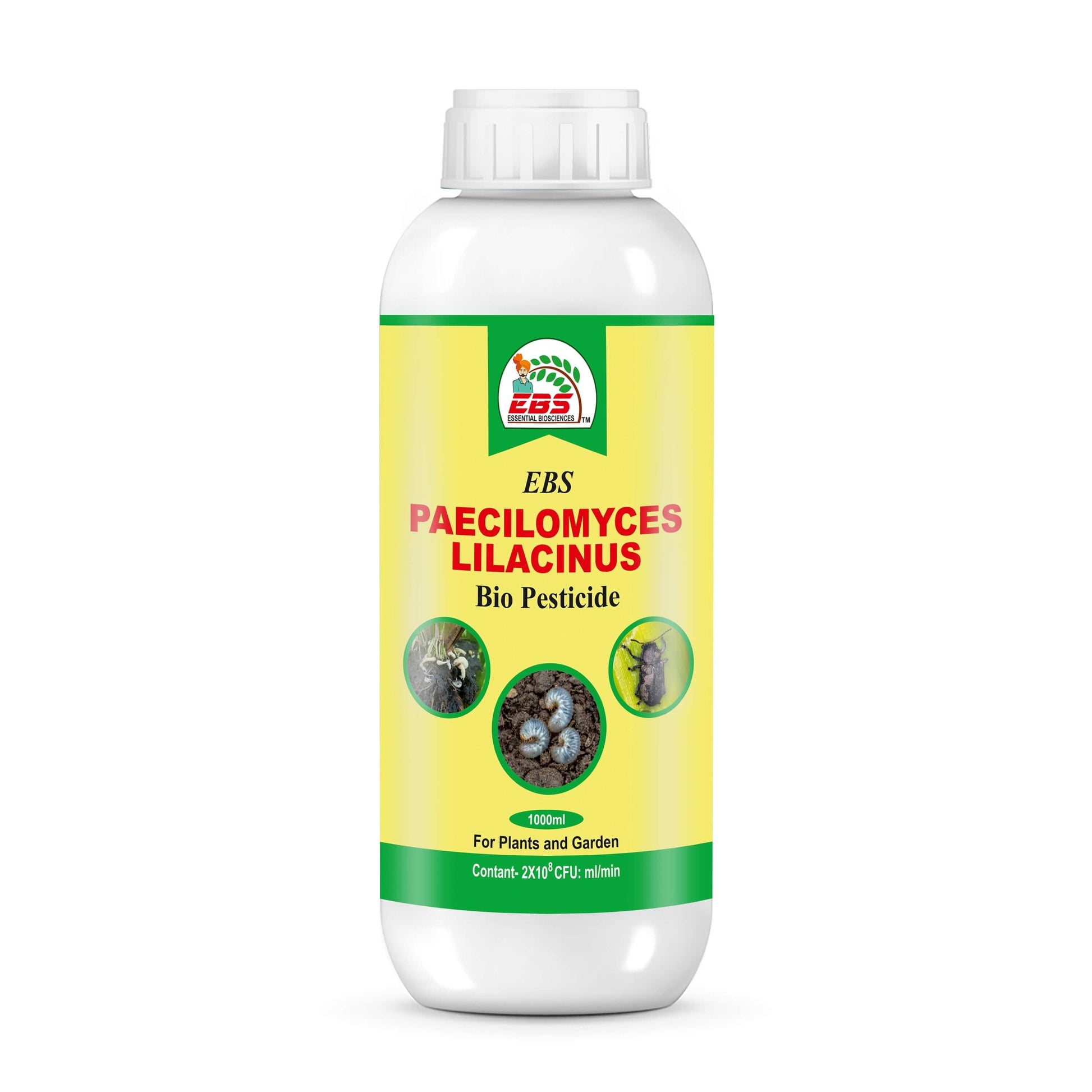 EBS Paecilomyces lilacinus bio insecticide for farming
