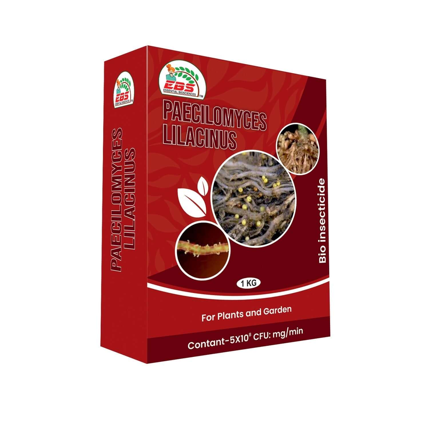 EBS Paecilomyces Lilacinus Bio Pesticide for nematode control