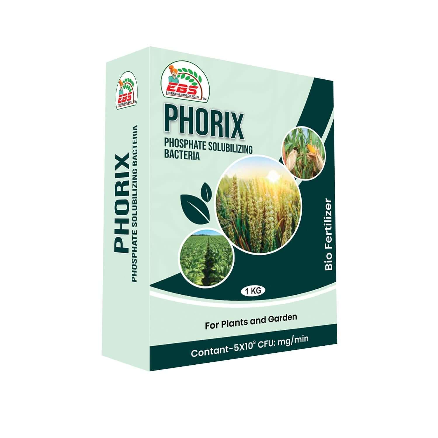 EBS PHORIX phosphate solubilizing bacteria bio fertilizer powder