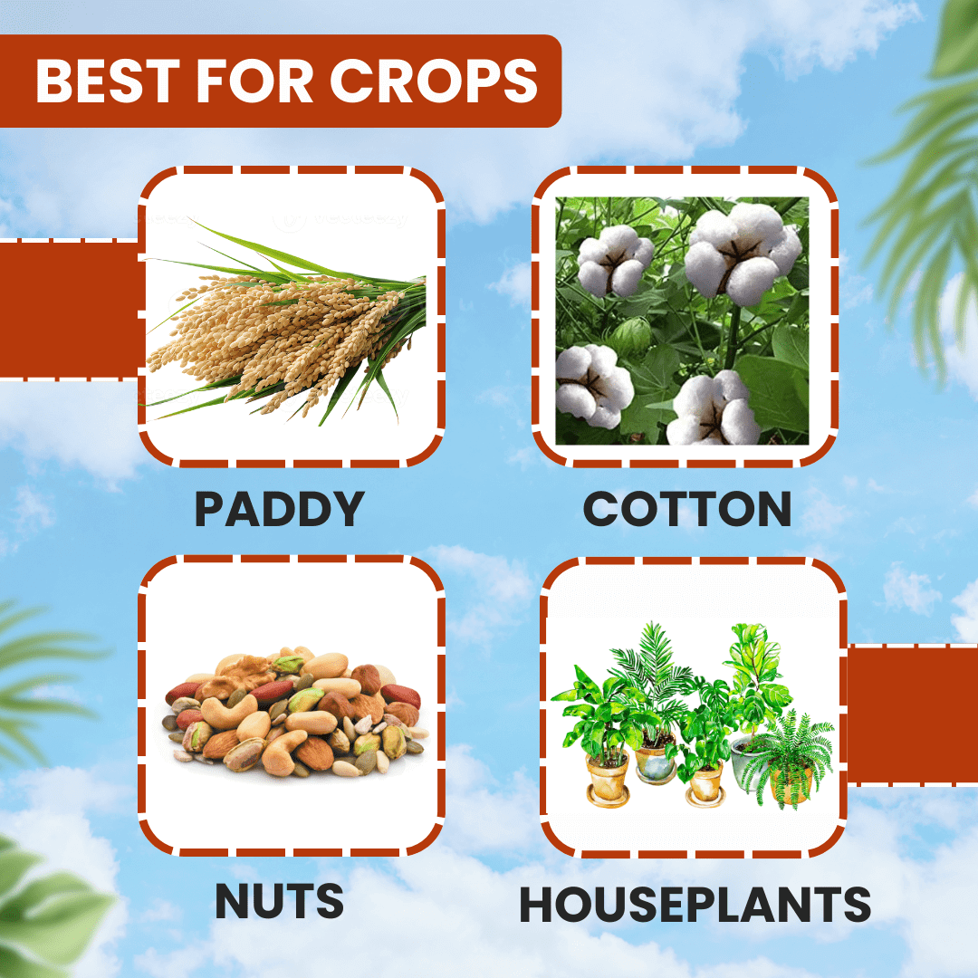 EBS Pramaan Profenophos 50% EC insecticide bottle