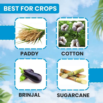 ईबीएस प्रॉपर 404 – प्रोफेनोफोस 40% + साइपरमेथ्रिन 4% ईसी कीटनाशक