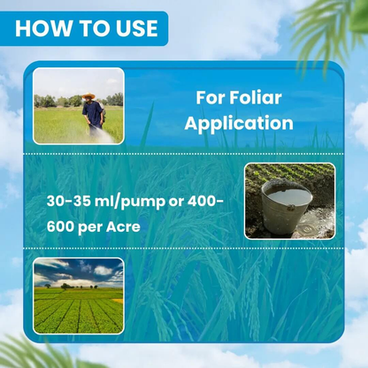 ईबीएस प्रॉपर 404 – प्रोफेनोफोस 40% + साइपरमेथ्रिन 4% ईसी कीटनाशक