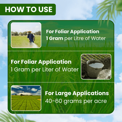 పీల్చే తెగులు నియంత్రణ కోసం EBS ప్రోటాన్ ఎసిటామిప్రిడ్ 20% SP పురుగుమందు