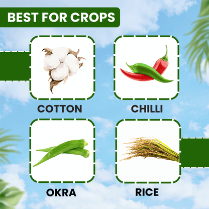 పీల్చే తెగులు నియంత్రణ కోసం EBS ప్రోటాన్ ఎసిటామిప్రిడ్ 20% SP పురుగుమందు