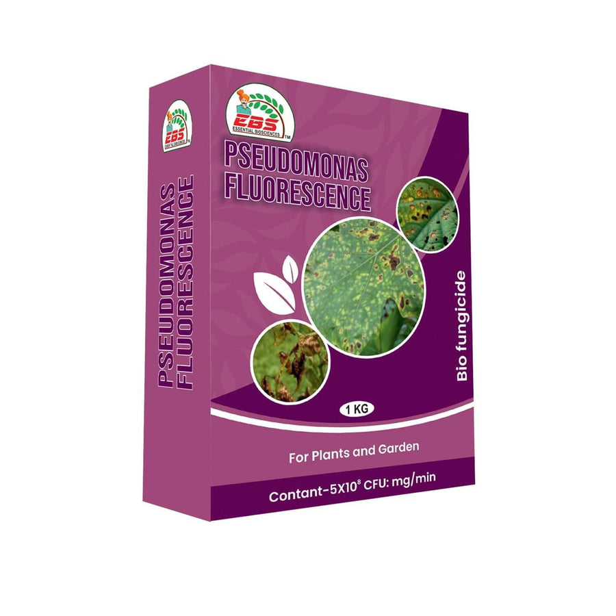 EBS Pseudomonas Fluorescence Bio Fungicides Powder