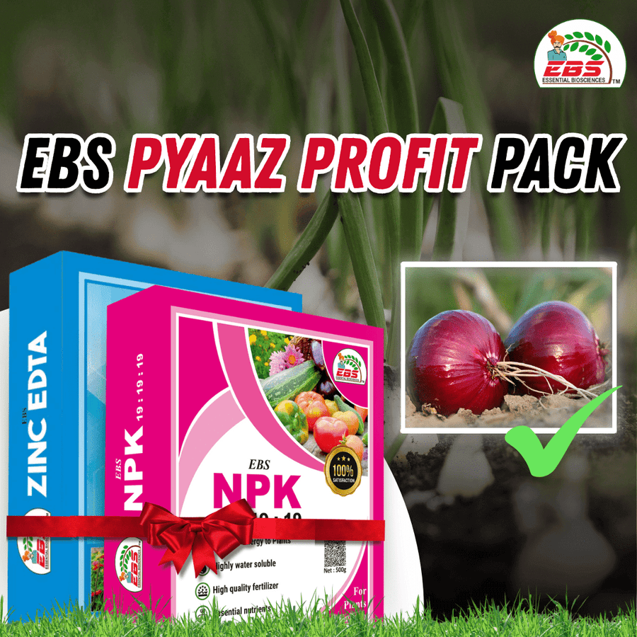 EBS Pyaaz Profit Pack