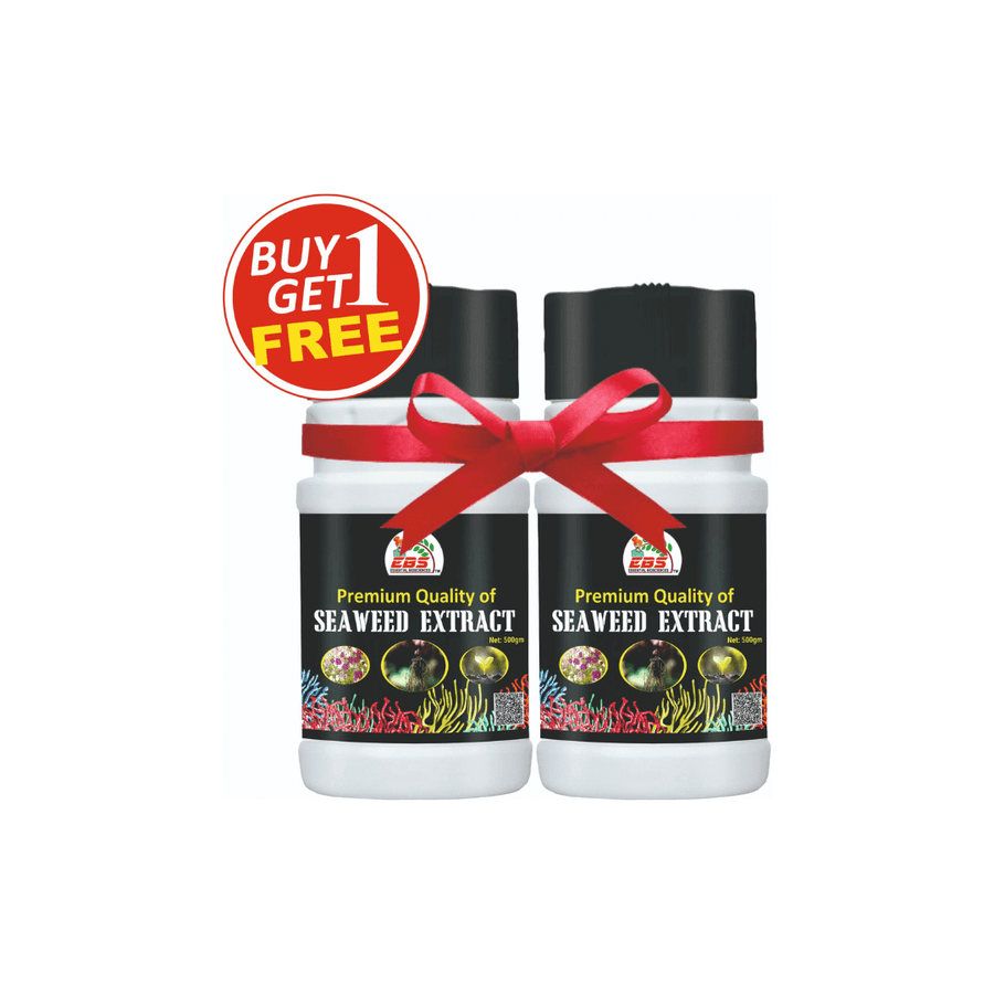 EBS Seaweed Extract (Premium Quality) ( 1+1 Free )
