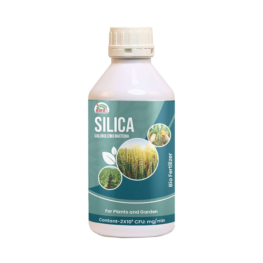 Silica Bio Fertilizer | Silica Solubilizing Bacteria