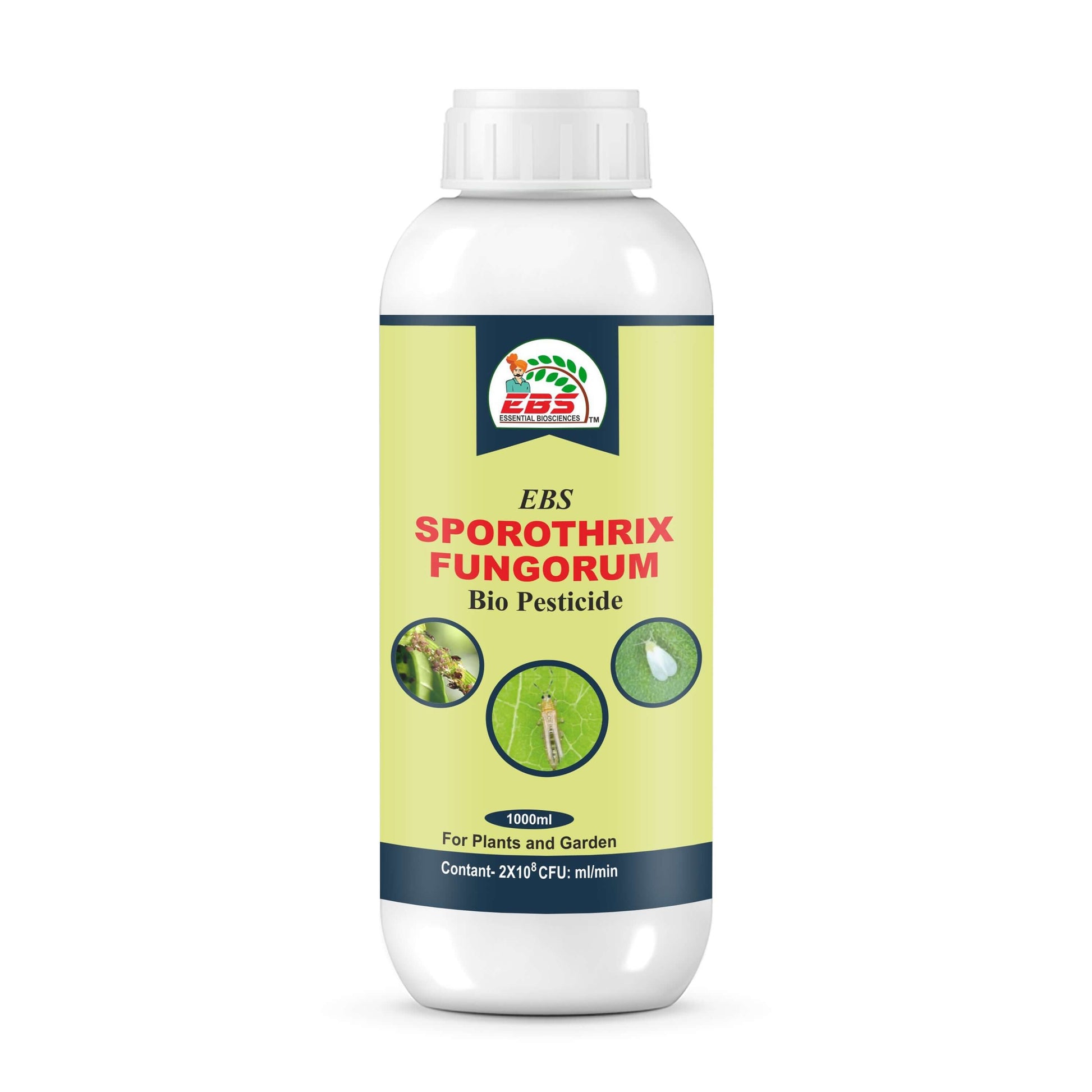 EBS Sporothrix Fungorum bio pesticide for agriculture