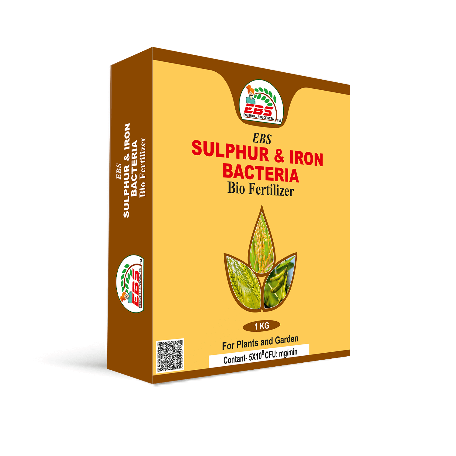 SULPHUR &IRO BACTERIA