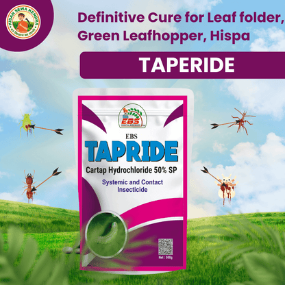 EBS Tapride Cartap Hydrochloride 50% SP Insecticide