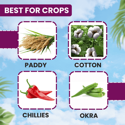 EBS Tapride Cartap Hydrochloride 50% SP Insecticide