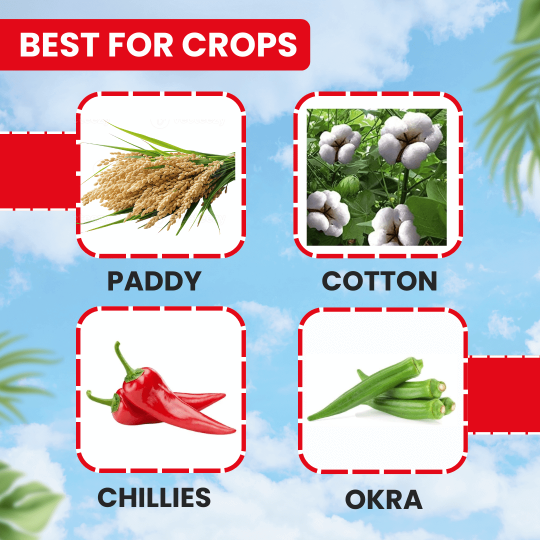 thiala-thiamethoxam-30-fs-seed-treatment.