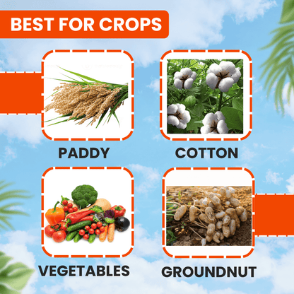 EBS Thiomax Thiamethoxam 25% WG – Trusted Systemic Insecticide for Sucking Pests