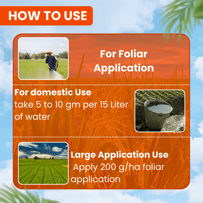 EBS Thiomax Thiamethoxam 25% WG – Trusted Systemic Insecticide for Sucking Pests