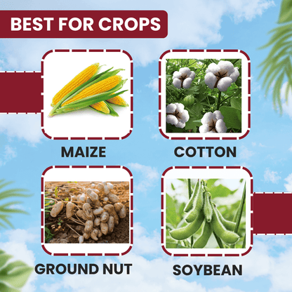 ईबीएस थियोशील्ड थियामेथॉक्सम 12.6% + लैम्डा साइहलोथ्रिन 9.5% जेडसी कीटनाशक