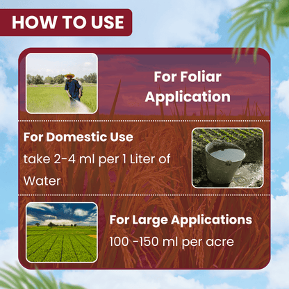 ईबीएस थियोशील्ड थियामेथॉक्सम 12.6% + लैम्डा साइहलोथ्रिन 9.5% जेडसी कीटनाशक