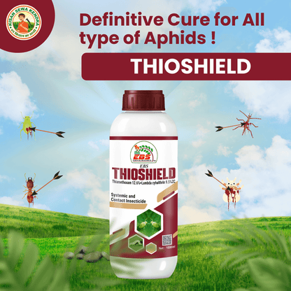 ईबीएस थियोशील्ड थियामेथॉक्सम 12.6% + लैम्डा साइहलोथ्रिन 9.5% जेडसी कीटनाशक
