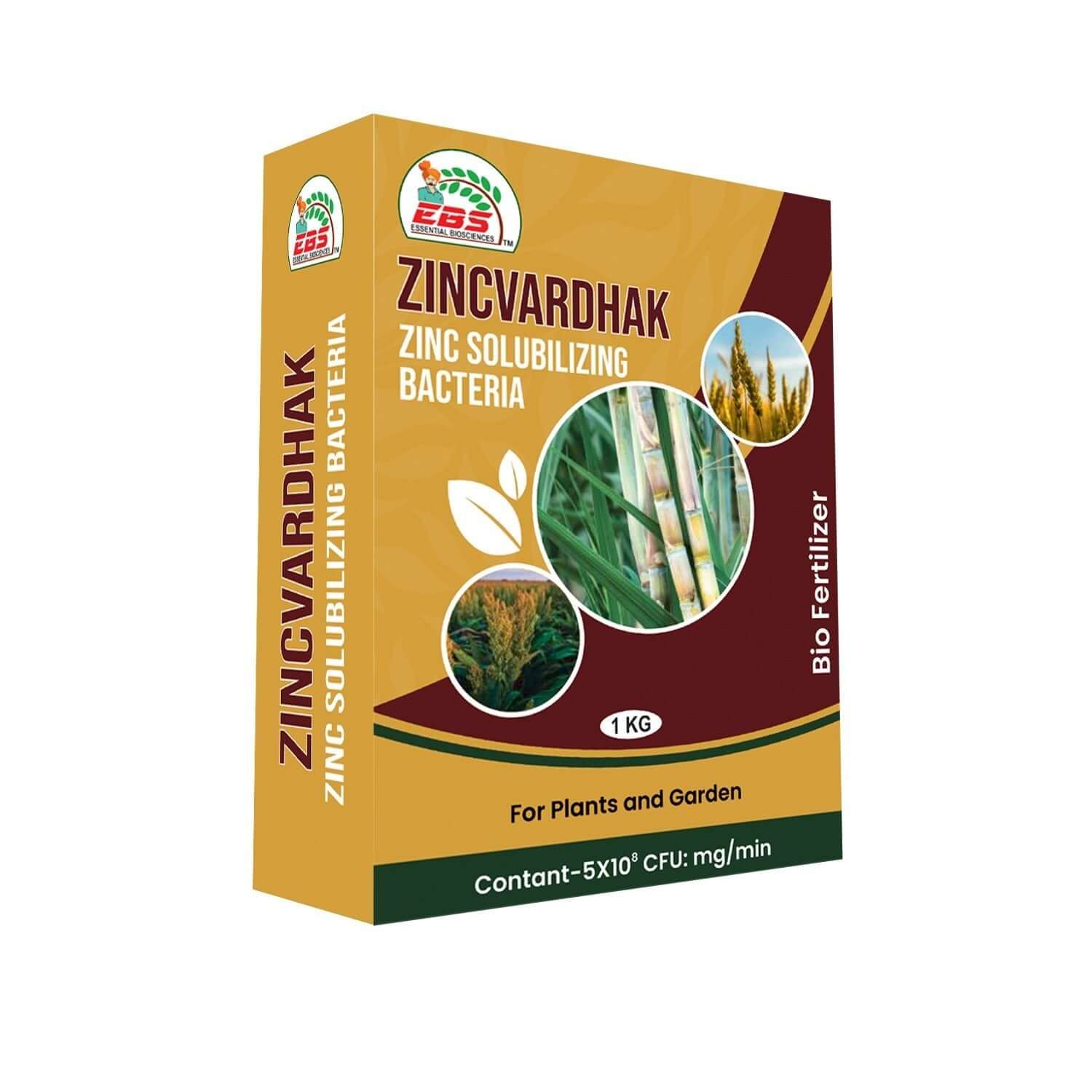 EBS Zincvardhak zinc solubilizing bio fertilizer powder