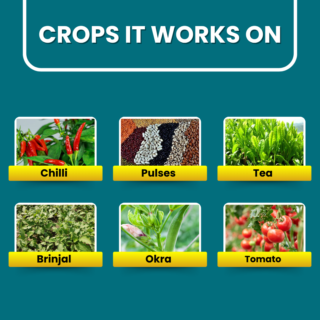 Crops featured in the Emaan Plus product guide, including chilli, pulses, tea, brinjal, okra, and tomato.