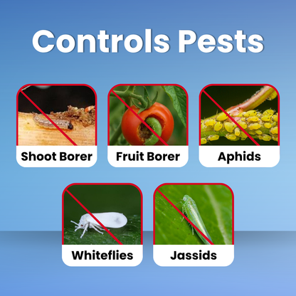 Pests controlled by Emaan Plus: shoot borer, fruit borer, aphids, whiteflies, jassids