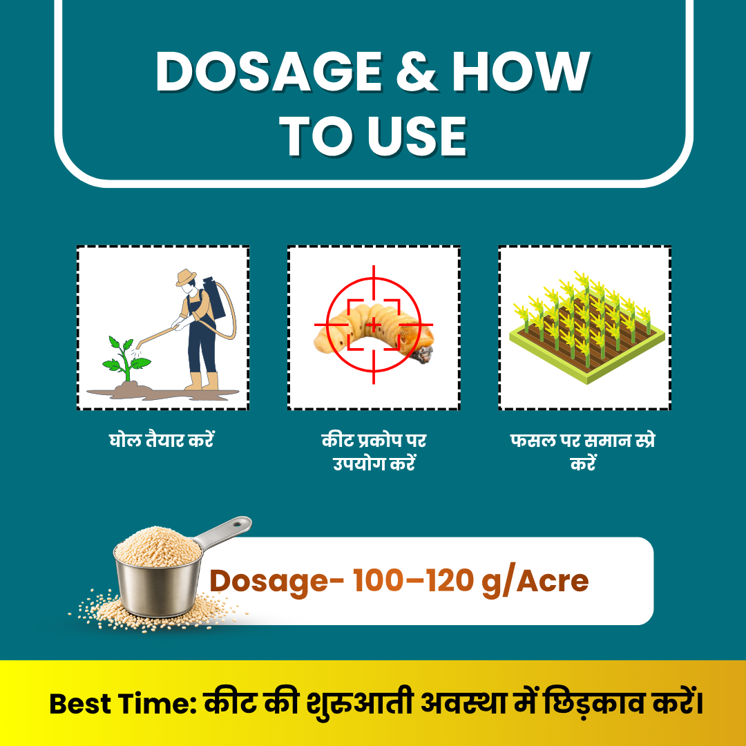 Emaan Plus dosage and application guide showing pest targeting, solution preparation, crop spraying, and a dosage of 100–120 g per acre.