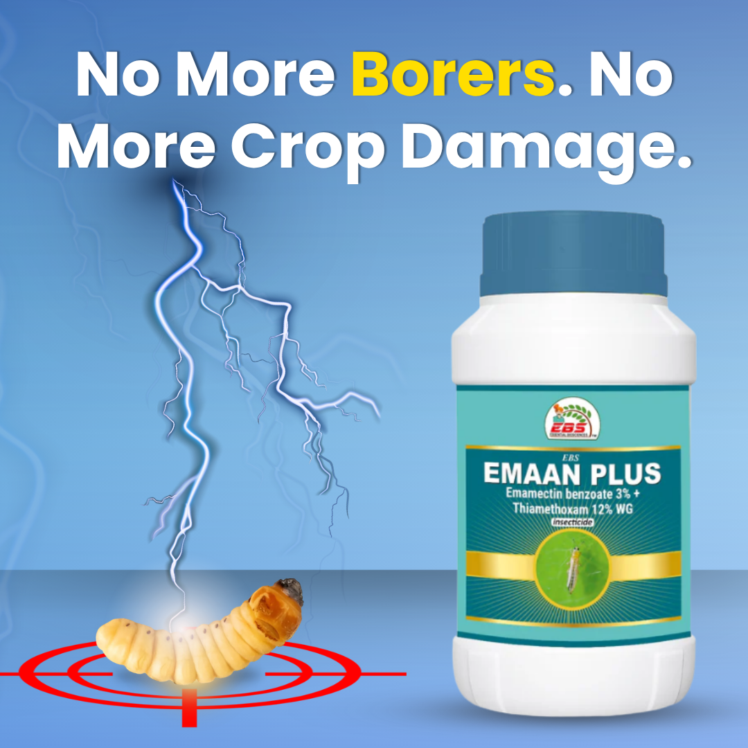 Emaan Plus insecticide bottle with tagline