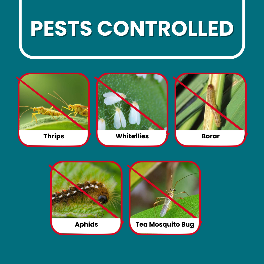 Emaan Plus insecticide pest control graphic featuring thrips, whiteflies, borers, aphids, and tea mosquito bugs.