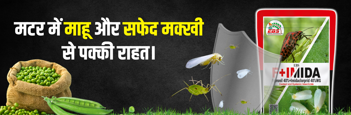 Pest control insecticide for aphid and whitefly in pea crop providing effective protection
