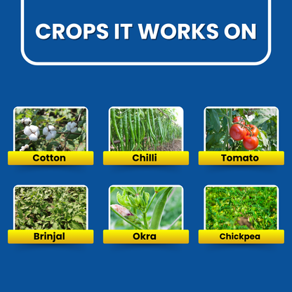 Crops featured in the Flubexa product guide, including cotton, chilli, tomato, brinjal, okra, and chickpea.