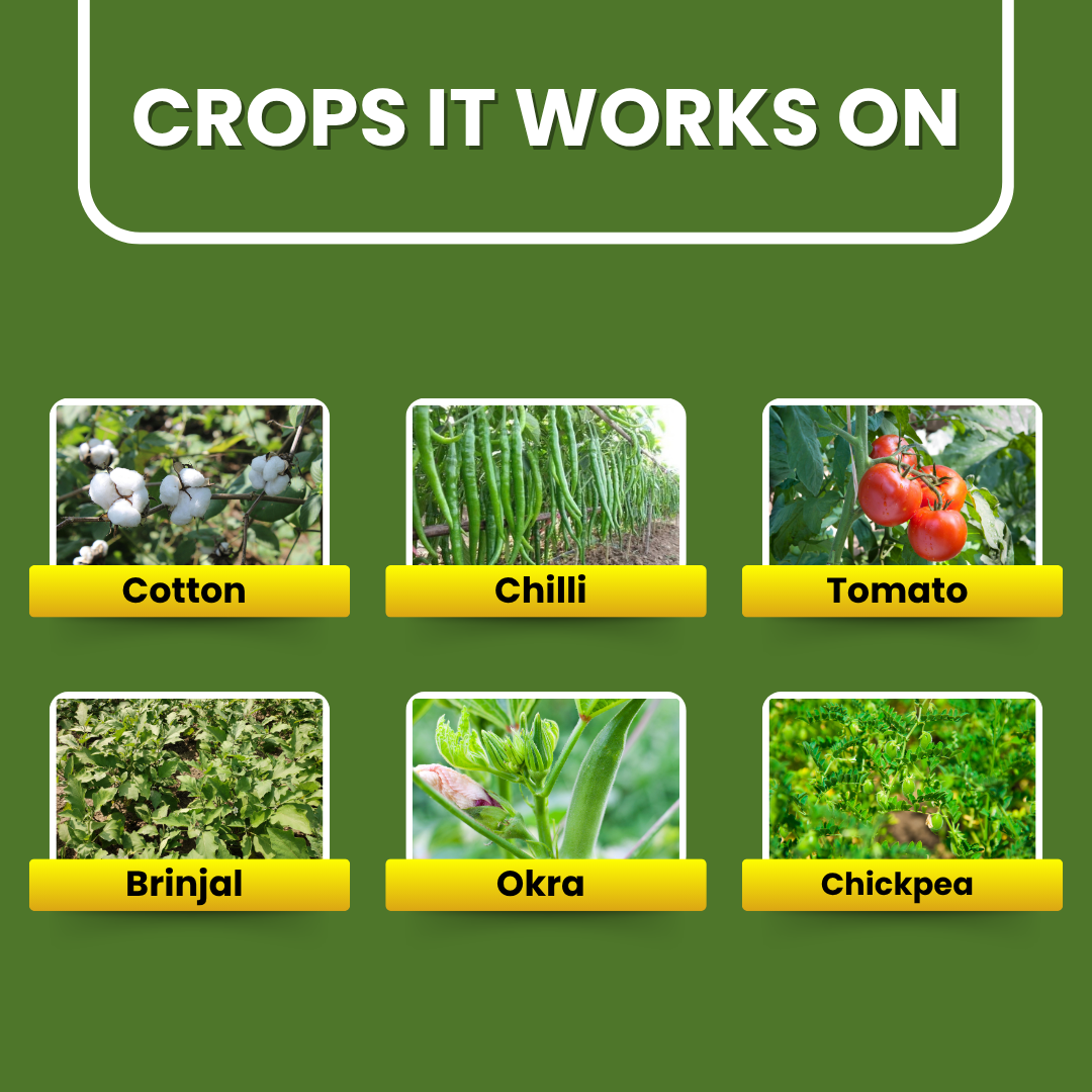 Flubexa crop guide featuring cotton, chilli, tomato, brinjal, okra, and chickpea crops.